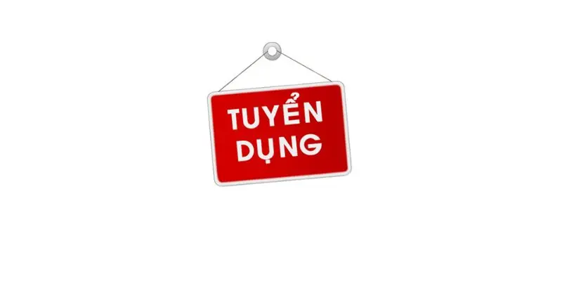 Cơ hội tuyển dụng tại Bsport