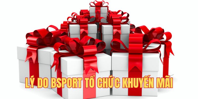 Lý do BSport tổ chức khuyến mãi