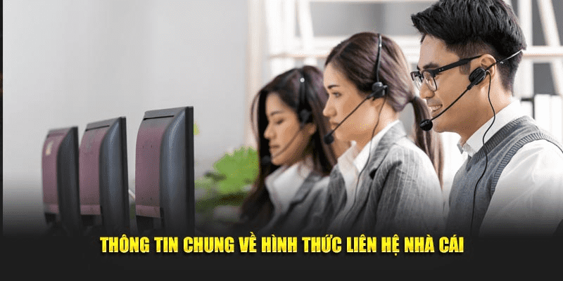 Thông tin chung về việc liên hệ Bsport